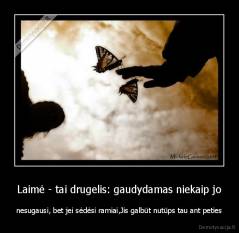 Laimė - tai drugelis: gaudydamas niekaip jo - nesugausi, bet jei sėdėsi ramiai,Jis galbūt nutūps tau ant peties