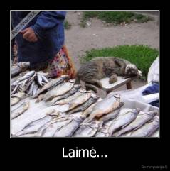 Laimė... - 