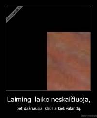 Laimingi laiko neskaičiuoja, - bet dažniausiai klausia kiek valandų.