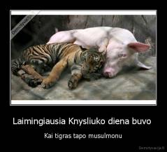 Laimingiausia Knysliuko diena buvo  - Kai tigras tapo musulmonu