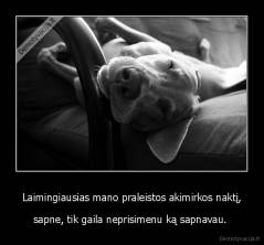 Laimingiausias mano praleistos akimirkos naktį, - sapne, tik gaila neprisimenu ką sapnavau. 