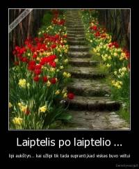 Laiptelis po laiptelio ... - lipi aukštyn... kai užlipi tik tada supranti,kad viskas buvo veltui