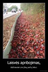 Laisvės apribojimas, - dažniausiai yra jūsų pačių labui.