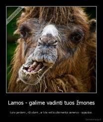 Lamos - galime vadinti tuos žmones - kurie gerdami , rūkydami , ar kita veikla užsiimantys asmenys - spjaudosi.