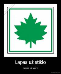 Lapas už stiklo - medis už vairo