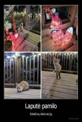 Laputė pamilo - Kalėdinę dekoraciją