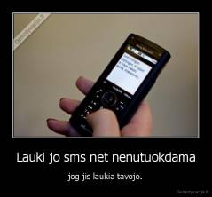 Lauki jo sms net nenutuokdama - jog jis laukia tavojo.