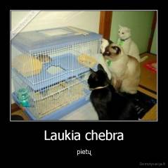 Laukia chebra - pietų