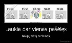 Laukia dar vienas pašėlęs - Naujų metų sutikimas