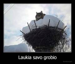 Laukia savo grobio - 