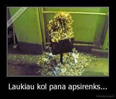Laukiau kol pana apsirenks... - 