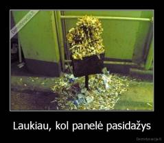 Laukiau, kol panelė pasidažys - 