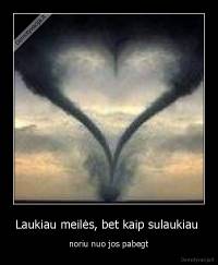 Laukiau meilės, bet kaip sulaukiau  - noriu nuo jos pabegt