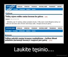 Laukite tęsinio.... - 