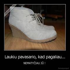 Laukiu pavasario, kad pagaliau... - NEMATYČIAU JŪ ! 