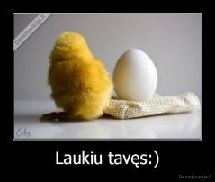Laukiu tavęs:) - 