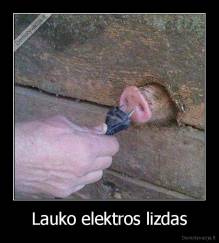 Lauko elektros lizdas - 