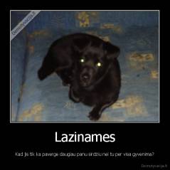 Lazinames - Kad jis tik ka paverge daugiau panu sirdziu nei tu per visa gyvenima?