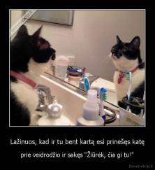Lažinuos, kad ir tu bent kartą esi prinešęs katę - prie veidrodžio ir sakęs "Žiūrėk, čia gi tu!"