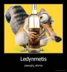 Ledynmetis - paauglių akimis