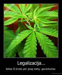 Legalizacija... - Kelias iš krizės per pusę metų- garantuotas 