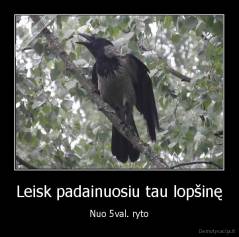 Leisk padainuosiu tau lopšinę - Nuo 5val. ryto