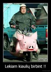 Lekiam kiaulių birbint !! - 