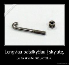 Lengviau pataikyčiau į skylutę, - jei ta skylutė būtų apžėlusi