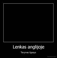 Lenkas anglijoje - Tevynes ilgesys