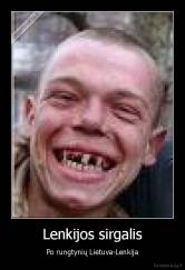 Lenkijos sirgalis - Po rungtynių Lietuva-Lenkija