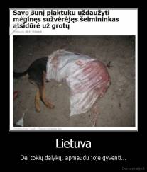 Lietuva - Dėl tokių dalykų, apmaudu joje gyventi...
