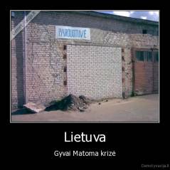 Lietuva - Gyvai Matoma krizė