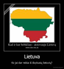 Lietuva - Ko jai dar reikia iš išvykusių lietuvių?