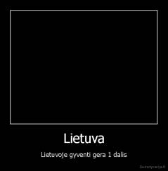 Lietuva - Lietuvoje gyventi gera 1 dalis
