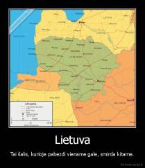 Lietuva - Tai šalis, kurioje pabezdi viename gale, smirda kitame.