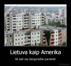 Lietuva kaip Amerika - tik kad visi dangoraižiai parversti