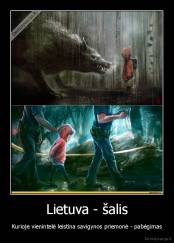 Lietuva - šalis - Kurioje vienintelė leistina savigynos priemonė - pabėgimas