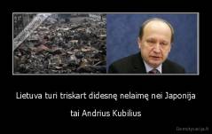 Lietuva turi triskart didesnę nelaimę nei Japonija - tai Andrius Kubilius