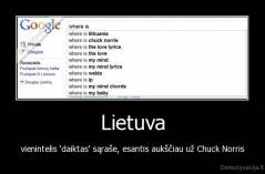 Lietuva - vienintelis 'daiktas' sąraše, esantis aukščiau už Chuck Norris