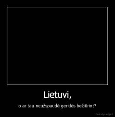 Lietuvi, - o ar tau neužspaudė gerklės bežiūrint?
