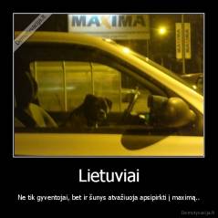 Lietuviai - Ne tik gyventojai, bet ir šunys atvažiuoja apsipirkti į maximą..