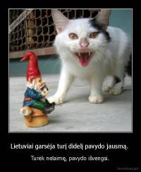 Lietuviai garsėja turį didelį pavydo jausmą.  - Turėk nelaimę, pavydo išvengsi.