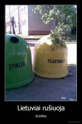 Lietuviai rušiuoja - šiukšles