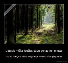 Lietuvis miške jaučias daug geriau nei mieste - Taip yra todėl, kad miške daug šakų ir ant kiekvienos gali pasikart