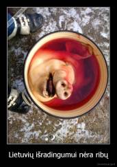 Lietuvių išradingumui nėra ribų - 