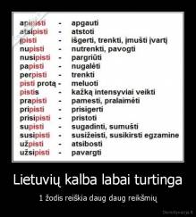 Lietuvių kalba labai turtinga - 1 žodis reiškia daug daug reikšmių