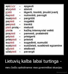 Lietuvių kalba labai turtinga -  - vienu žodžiu apibūdinamos visos gyvenimiškos situacijos.