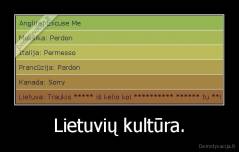 Lietuvių kultūra. - 