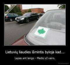 Lietuvių liaudies išmintis byloja kad... - Lapas ant lango - Medis už vairo.