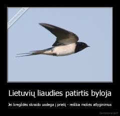 Lietuvių liaudies patirtis byloja - Jei kregždės skraido uodega į priekį - reiškia mokės atlyginimus